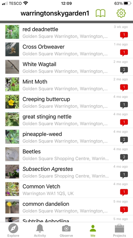 INaturalist records