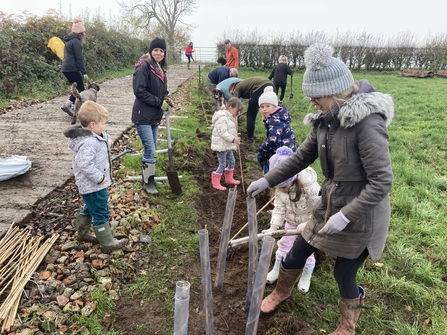 Planting Trees In Goostrey