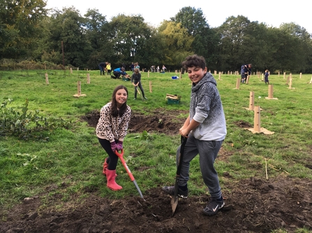 Tree Planting in Goostrey 