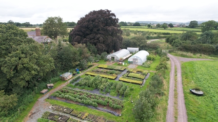 nursery drone