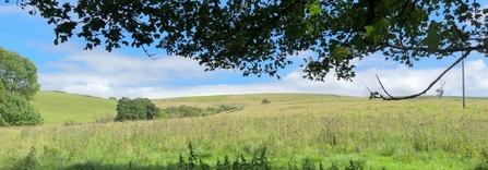 greenbooth  (test)
