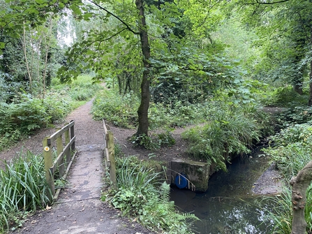 Image shows a wooden bridge going over the stream that runs through the wood. A blue cover goes over the sewage overflow opening.
