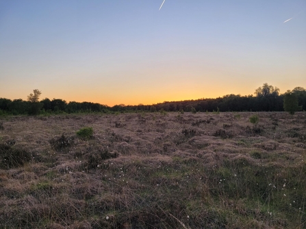Holcroft Moss