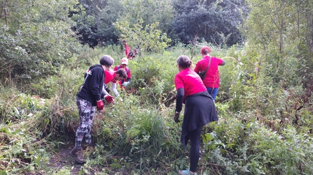 Removing invasive species such as Himalayan Balsam at Ladybrook Valley in Stockport.