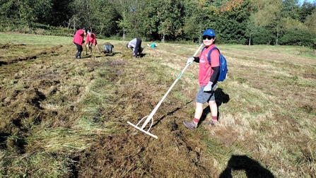 Volunteers raking the wildflower meadow in autumn.