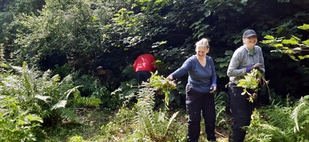 Two volunteers removing Himalayan Balsam and smiling at the camera.