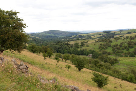 Grassland fields with trees dotted throughout. Aldred's Lea (c) Rachael Nellist
