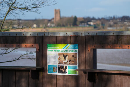 Image of a sign showing different wildlife that can be seem on the Mersey