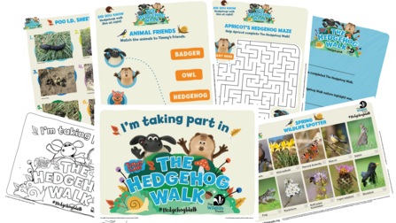 Hedgehog walk mock up