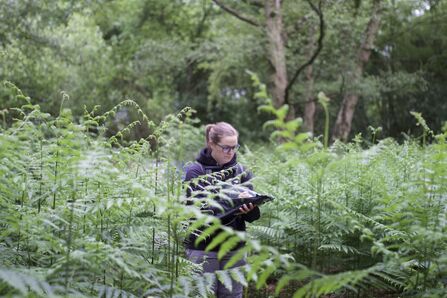 Woman surveying wildlife site