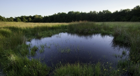 picture of a pond