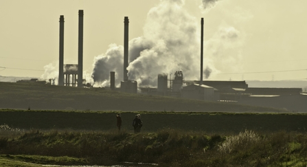 Elmley RSPB Reserve, Kent