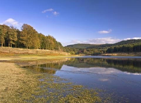 Trentabank Nature Reserve c. George Bayode