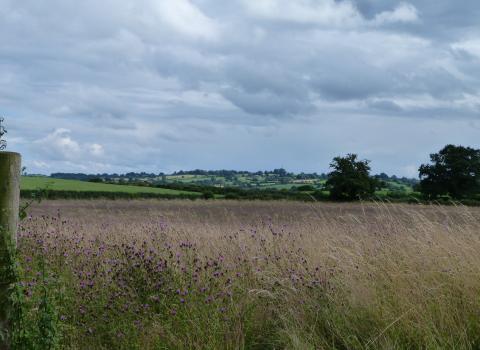 Bickley Hall Farm c. Claire Huxley