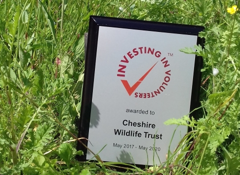 Investing in Volunteering Award