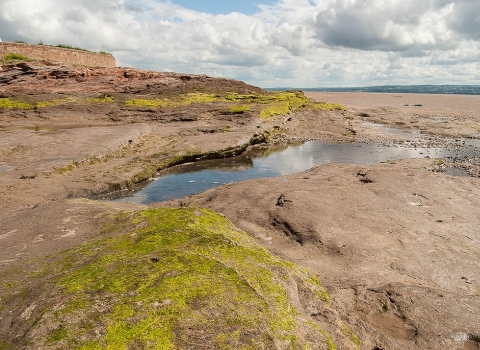 Red Rocks Marsh Nature Reserve c. Carl Skepper