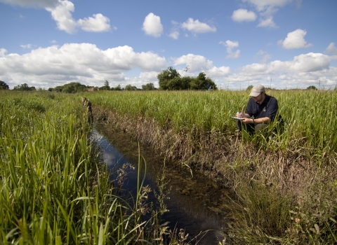 Volunteer surveying Gowy Meadows