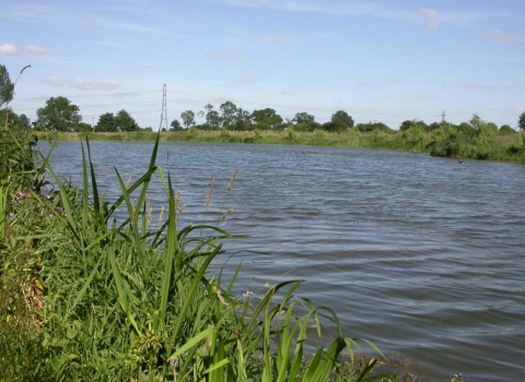 Local Wildlife Site c. Bruce Shortland