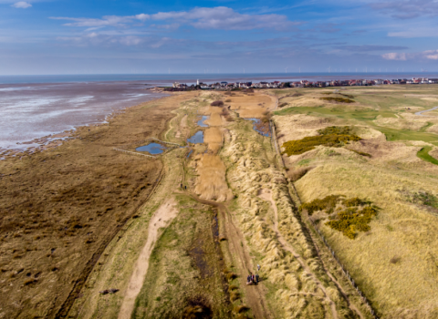 Dee Estuary 