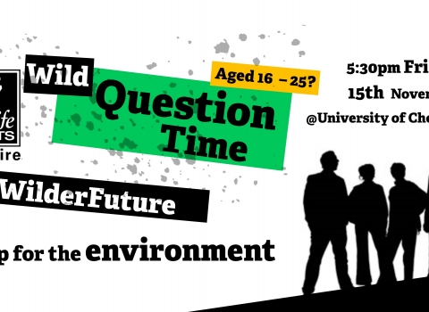 Wild Question Time
