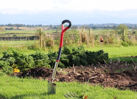 Turn your garden wildlife friendly