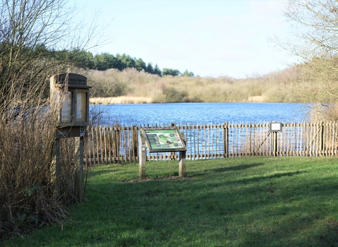 Hatchmere Lake