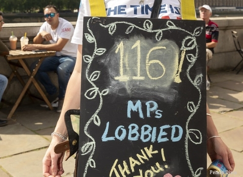 MPs lobbied campaigner