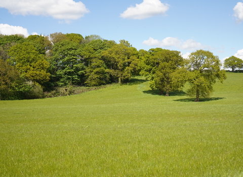 Saltersford Farm