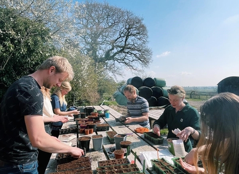 Team  seed planting