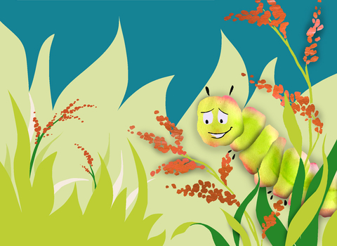 Fussy Caterpillar - banner