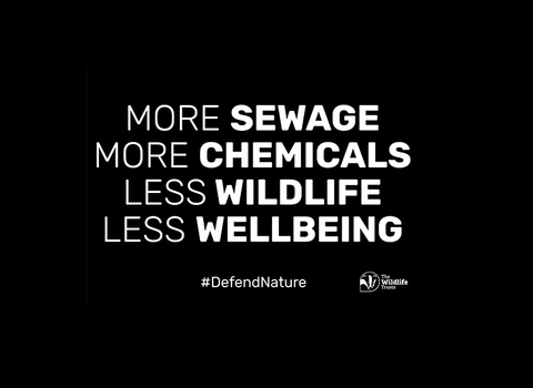 More sewage, less wildlife postcard
