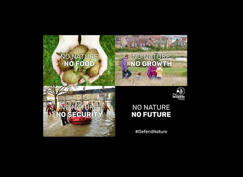 No nature, no future postcard