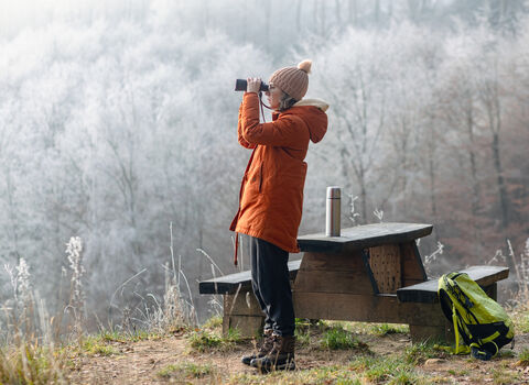 winter birdwatch