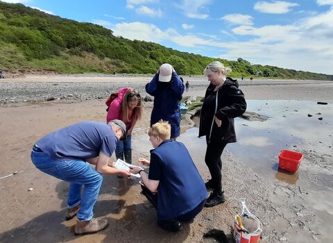 People gathered on a beach looking at items found in the strandline bought in by the tide.