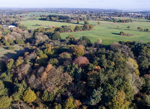 Longridge drone