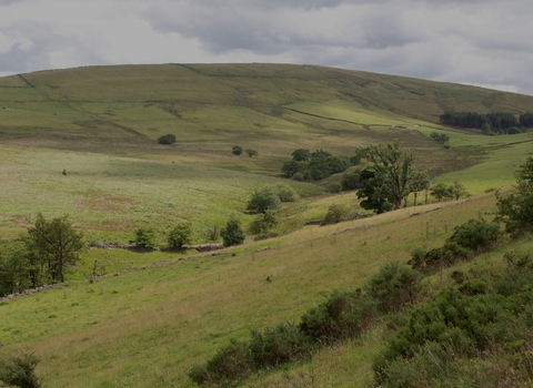 Aldred's Lea Nature Reserve
