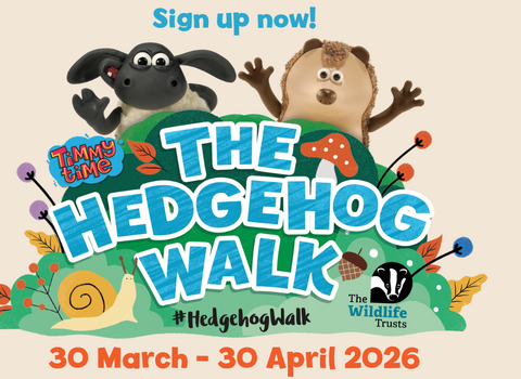The Hedgehog Walk