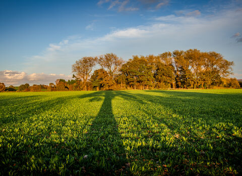 A field in Adlington with trees in the background - Mark Hadfield - Gekko Media