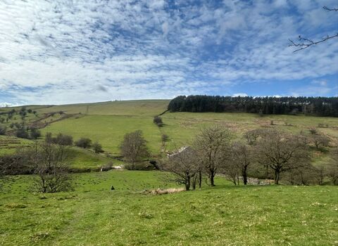Fox Hill