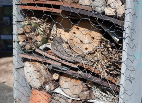 bug hotel