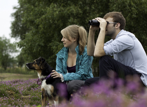 Young couple nature watching with a dog in heathland, August