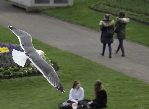 People having lunch outside