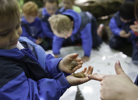Forest schools 