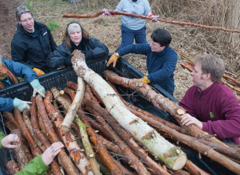 volunteers